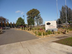 Australian Native Grasses