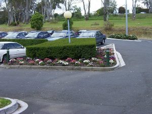 Hedging To Carpark