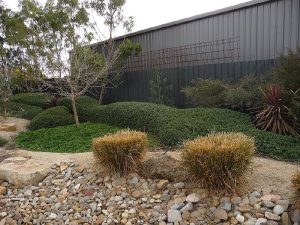 Low Flowing Hedge