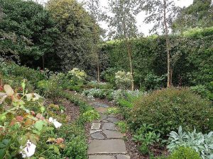 Meandering Slate Path