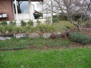 Native Grasses Boulderwork