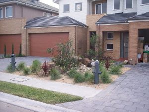 Native Grasses River Pebbles