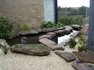 Pond With View