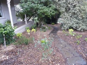 Slate Pathway