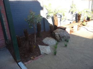 Tree Ferns Boulders