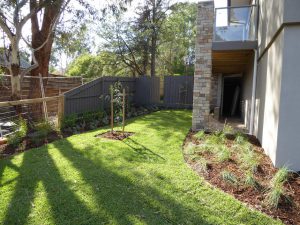 Turfed Lawn