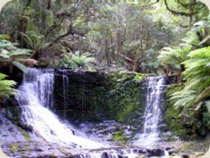 Natural Water Fall