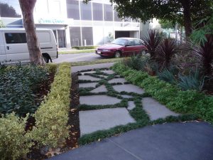 Commercial Landscaping Hawthorn