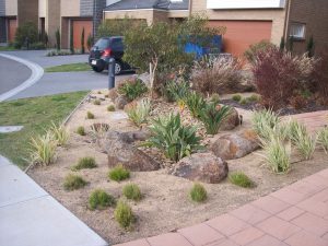 Dry Creek Bed