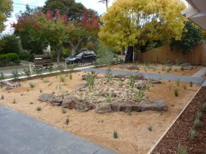 Front Dry Creek Bed