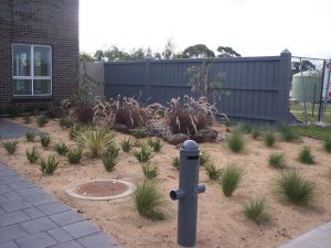 Landscape Design Patterson Lakes