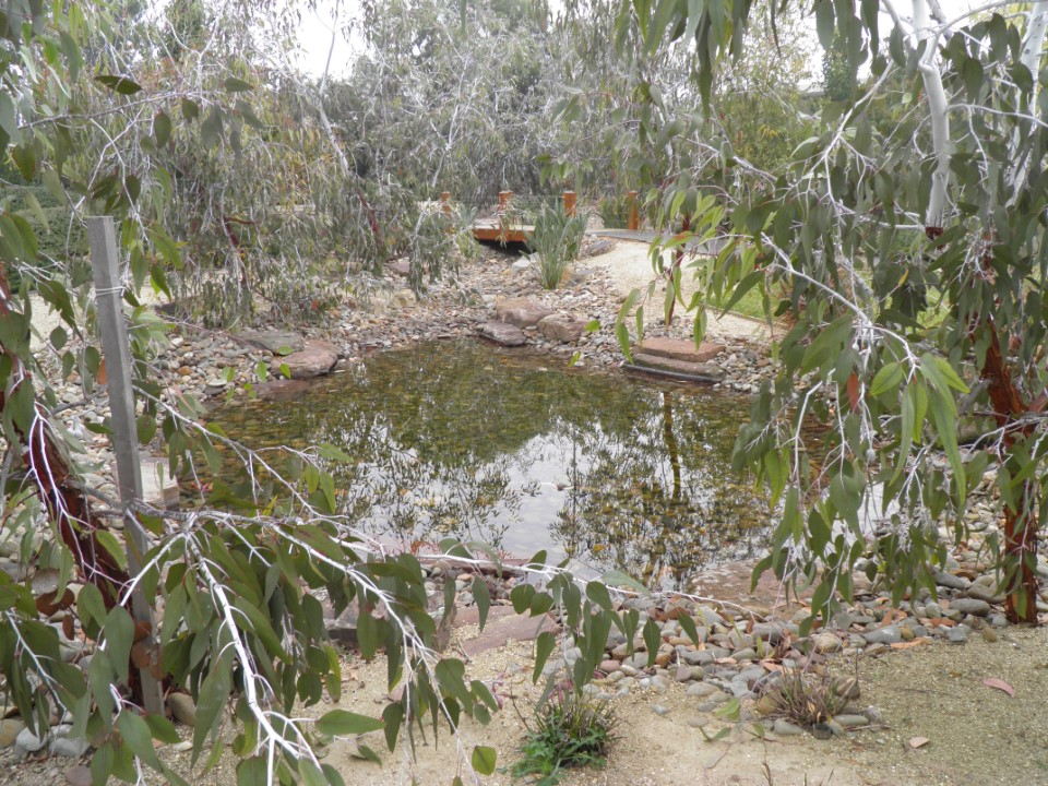 Landscaped Pond