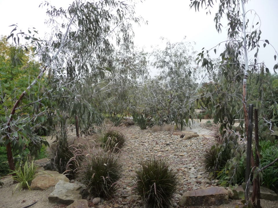 Pebbles Trees Boulders