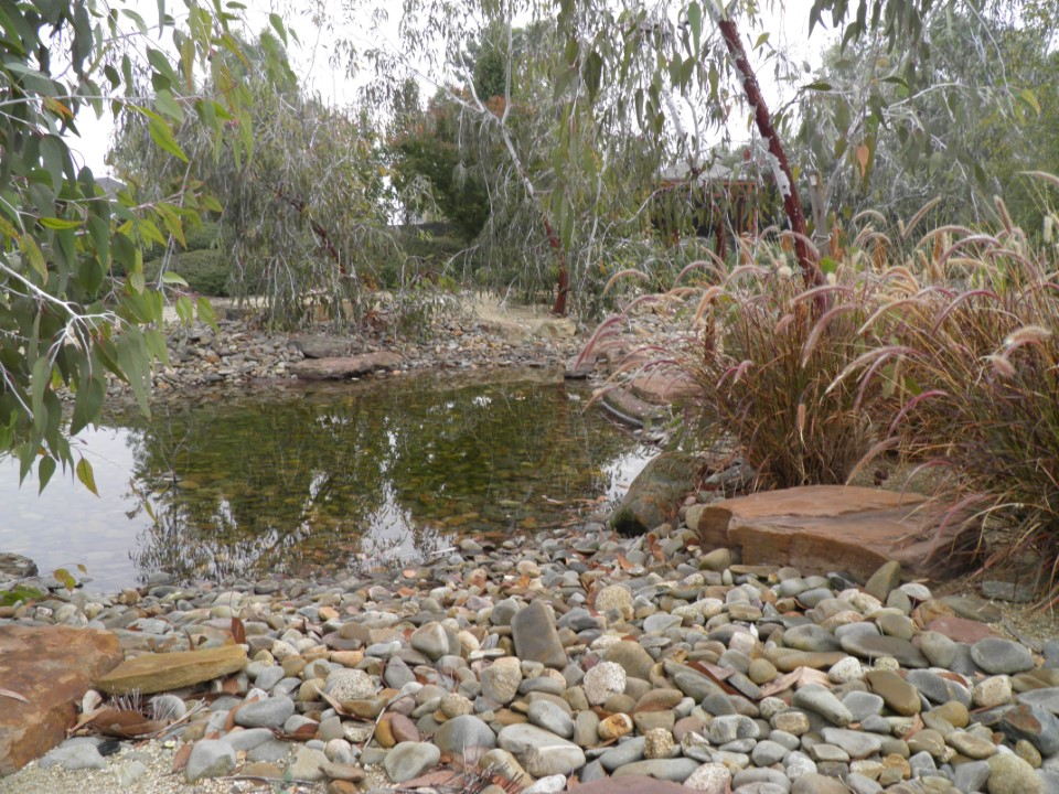 Pond With Pebbles