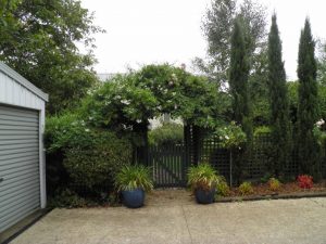 Wisteria Arch