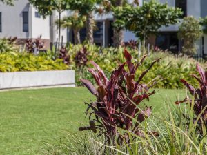 Landscape Design Brisbane 09