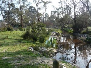 Landscaping Wetlands 01