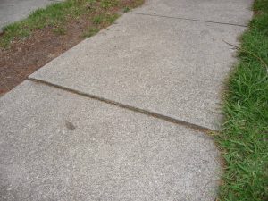 Neighbouring Tree Damage