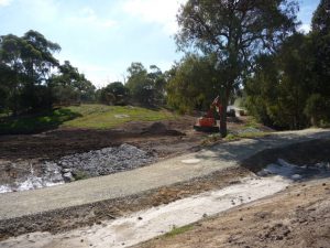 Wetlands Landscape Construction 03