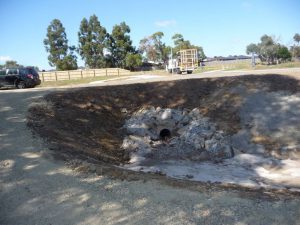 Wetlands Landscape Construction 06