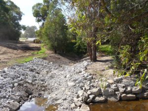 Wetlands Landscape Construction 09