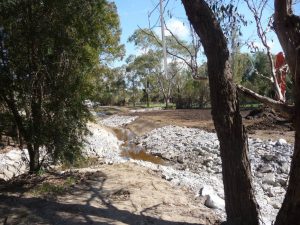 Wetlands Landscape Construction 10