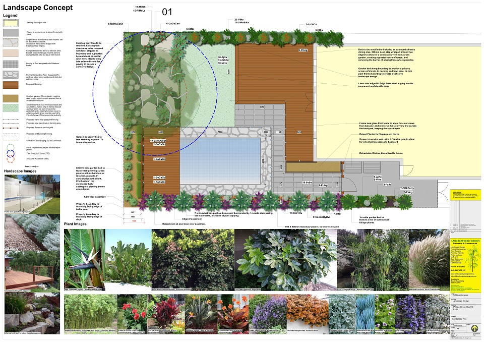 Landscape Concept Plan Box Hill